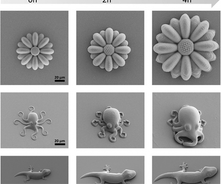 (Paper) 4D Printing of Shape Memory Polymers : From Macro to Micro