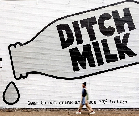 The Rise of Oat Milk