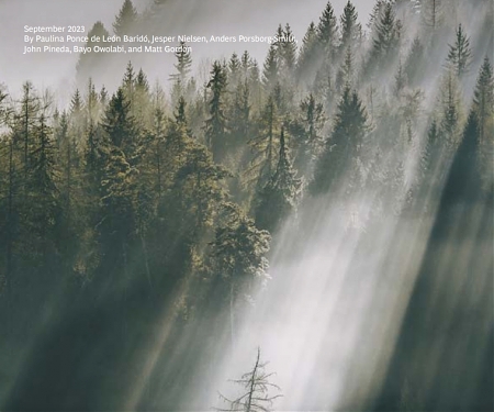 (PDF) BCG - In the Voluntary Carbon Market, Buyers Will Pay for Quality