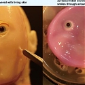 Researchers Craft Smiling Robot Face from Living Human Skin Cells