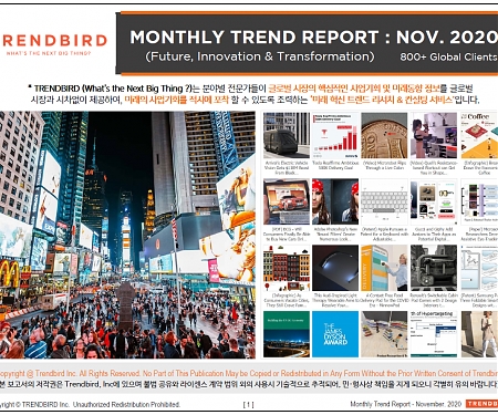 Monthly Trend Report - November. 2020 Edition