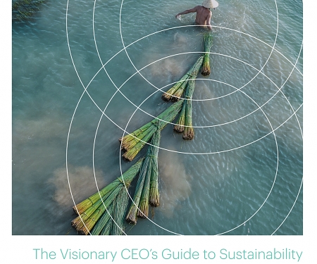 (PDF) Bain’s 2023 CEO Sustainability Guide