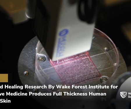 Breakthrough Human-like Bioprinted Skin Heals Wounds Better, Faster