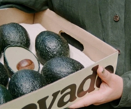British-Made Ecovado Offers Low-Impact Alternative to "Unsustainable" Avocados