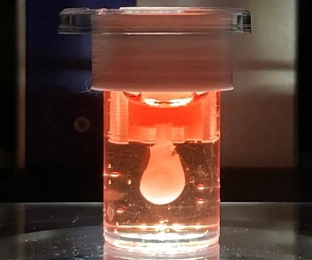 (Paper) Heart Chambers 3D Printed from Live Human Cells can Beat for Months
