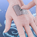 (Paper) Octopus-Inspired Patches Provide Irritation-Free Adhesion to Skin