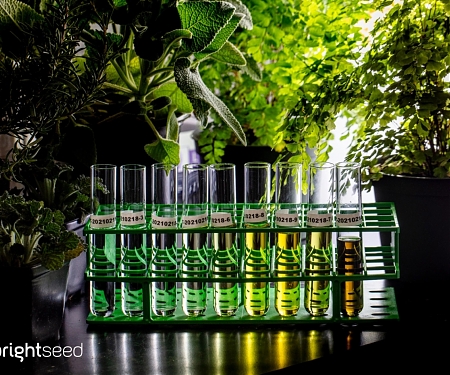 Brightseed’s First AI-detected ‘Phytonutrient’ Comes to Market Alongside a $68M B Round