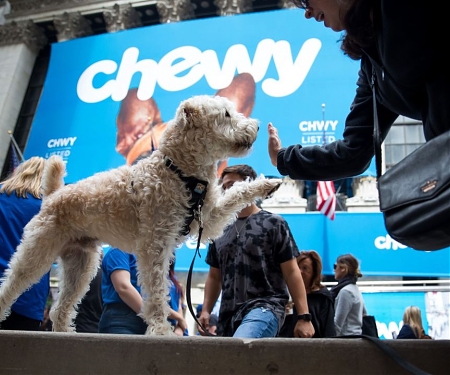 The Pandemic Pet Boom and Pet-Food-as-a-Service