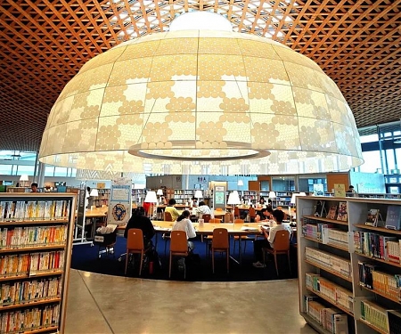 Are Adults Forgetting How to Read ?