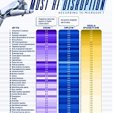 (Paper) The Jobs Most Exposed to Generative AI