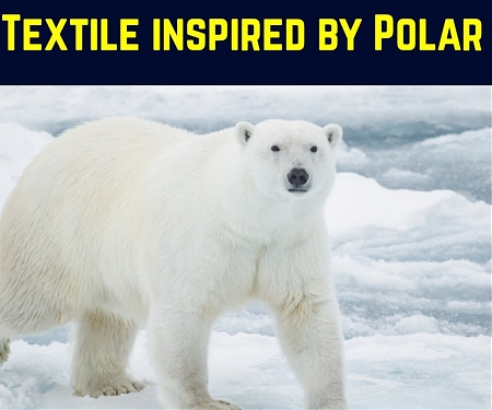 (Paper) New Textile Unravels Warmth-trapping Secrets of Polar Bear Fur