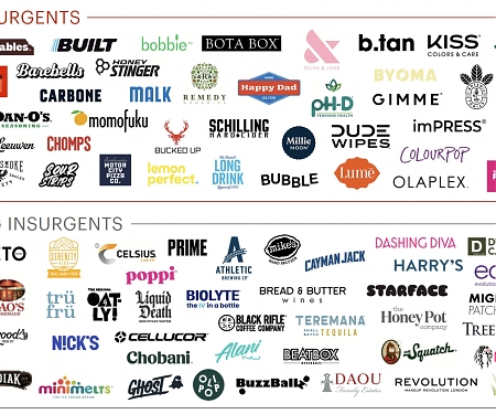 Bain & Company - Insurgent Brands 2024