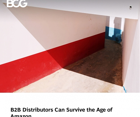 (PDF) BCG - B2B Distributors Can Survive the Age of Amazon