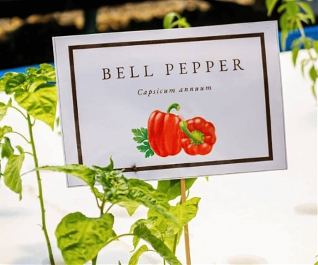 Compact Urban Farms That Tackle Food Insecurity - Agrisiti