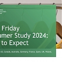 (PDF) BCG - Black Friday 2024 : GenAI Helps Consumers Hunt for Bargains