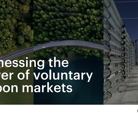 (PDF) Accenture - Harnessing The Power of Voluntary Carbon Markets