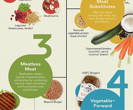 (Infographic) Exploring The Consumer Potential of Plant-Based Alternatives