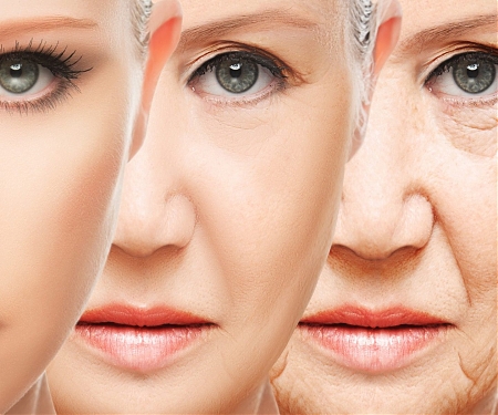 (Paper) Calorie Restriction Slows Pace of Aging in Healthy Adult