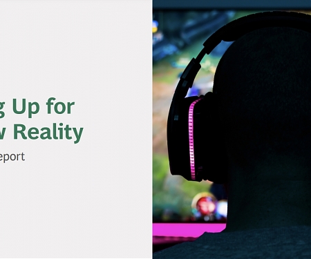 (PDF) BCG - The Gaming Report : Leveling Up for the New Reality