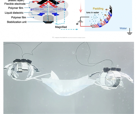 (Paper) Max Planck Institute - Jellyfish-like Robots Could One Day Clean Up The World’s Oceans