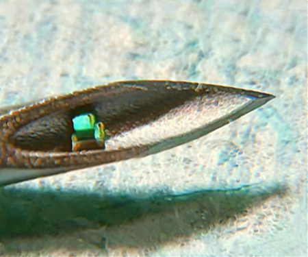 (Paper) The Smallest-Ever Injectable Chip Hints at a New Cybernetic Medicine