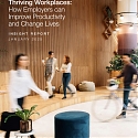 (PDF) Mckinsey - Thriving Workplaces : How Employers Can Improve Productivity and Change Lives