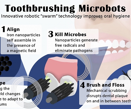 (Paper) Shapeshifting Microrobots Can Brush and Floss Teeth