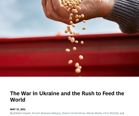 (PDF) BCG - The War in Ukraine and the Rush to Feed the World