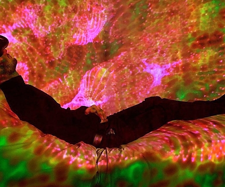 Researchers Discover a Surprising Visual Trick for Falling Asleep Faster