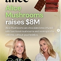 Functional Chocolate Brand Alice Mushrooms Raises $8 Million Series A