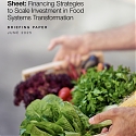 (PDF) WEF - Financing Strategies to Scale Investment in Food Systems Transformation