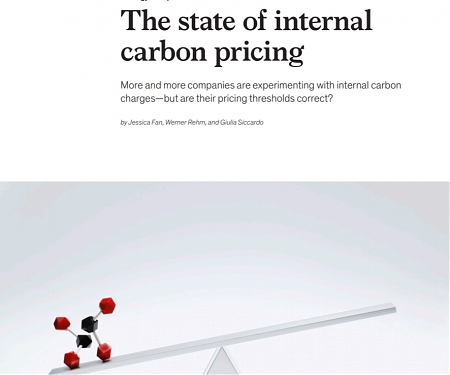 (PDF) Mckinsey - The State of Internal Carbon Pricing