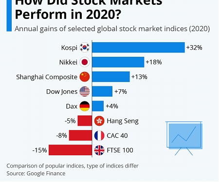 How Did Stock Markets Perform in 2020 ?