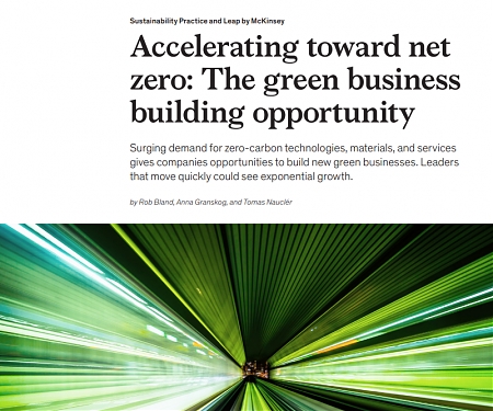 (PDF) Mckinsey - Accelerating Toward Net Zero : The Green Business Building Opportunity