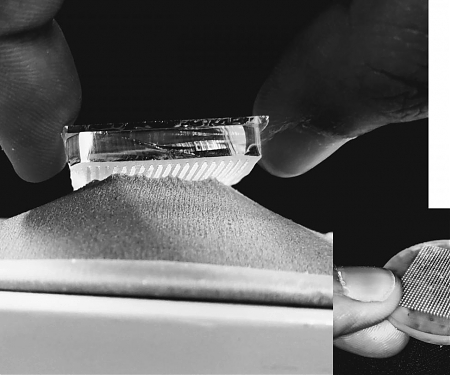 (Paper) Mushroom-Inspired Fastener is Kinder and Gentler Than Velcro