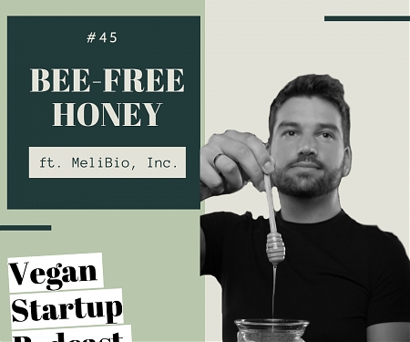 MeliBio Focused on Creating Real Honey without Bees, Raised $5.7M