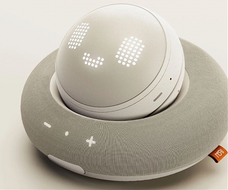 This Companion Robot Motivates Socially Inactive Youth to Venture Out With Mood-Based Conversations