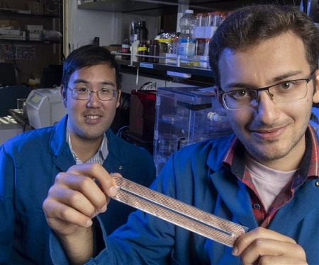 UCI Invention Lets People Pay for Purchases with a High-Five