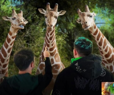 (Video) World’s First ‘Hologram Zoo’ Opens To Let You Interact With Animals Up Close