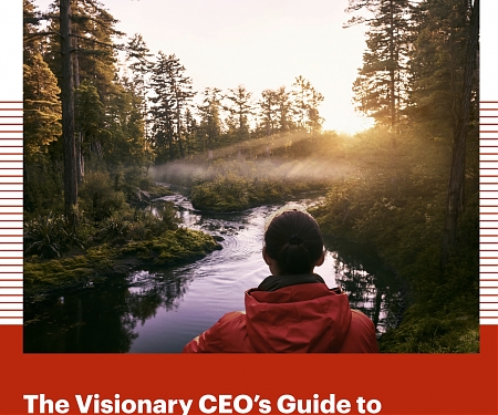 (PDF) Bain - The Visionary CEO’s Guide to Sustainability 2026 : Navigating Divergence