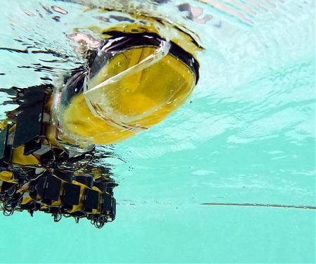 (Paper) Robot Shows How Simple Swimming Can Be