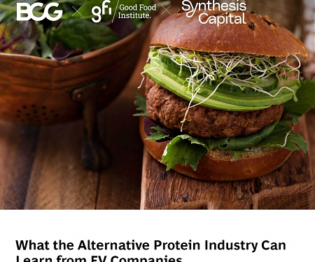 (PDF) BCG - What the Alternative Protein Industry Can Learn from EV Companies