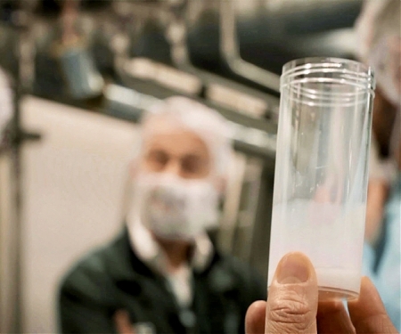 (Paper) ‘Synthetic’ Dairy Milk Made Without Cows May be Coming to a Supermarket