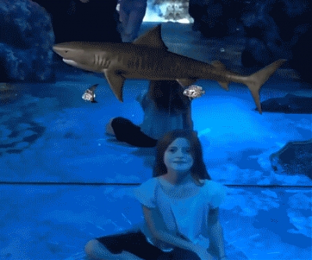 Arcadia Earth Is Putting XR To Work For The Environment