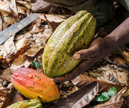 The World’s Broken Food System Costs $12.7 Trillion a Year