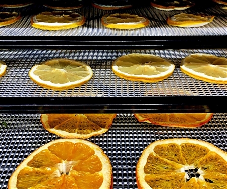 "Ionic Wind" Tech Could Revolutionize The Fruit-Drying Industry - Empa