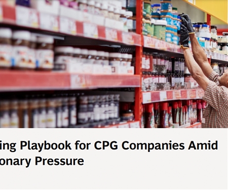 (PDF) BCG - A Pricing Playbook for CPG Companies Amid Inflationary Pressure