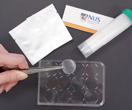 NUS Pharmacists Develop a “Cheeky” and Pain-Free Solution for Drug Delivery