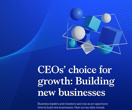 (PDF) Mckinsey - CEOs’ Choice for Growth : Building New Businesses