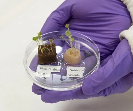 (Paper) Researchers have Produced Vegetables from Human Hair
